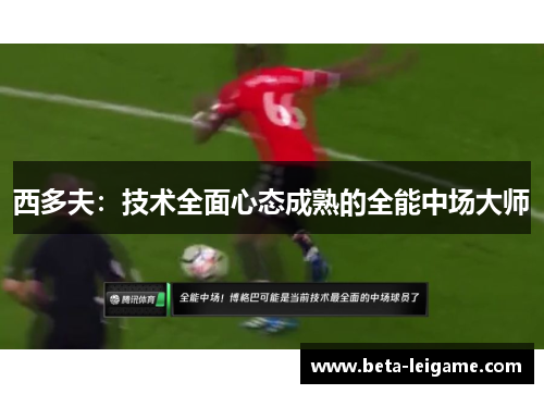 西多夫：技术全面心态成熟的全能中场大师