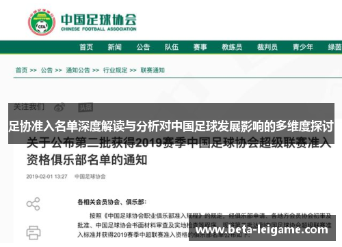 足协准入名单深度解读与分析对中国足球发展影响的多维度探讨