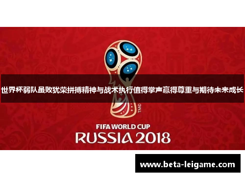 世界杯弱队虽败犹荣拼搏精神与战术执行值得掌声赢得尊重与期待未来成长