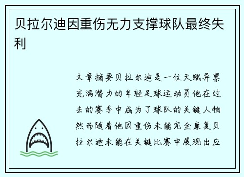 贝拉尔迪因重伤无力支撑球队最终失利